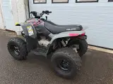 Polaris Phoenix 200 - 2