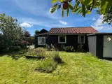 Kolonihave i Esbjerg - 3