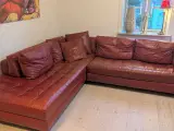 Lækker, rød Natuzzi lædersofa - 2