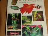 Akvaristens Billedhåndbog 
