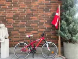 Købt til 3400 kr 20 tommer fed MTB 