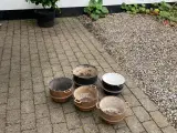 Gamle støbejerns gryder