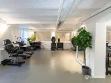 Stor og velrenoveret erhvervsandel eksklusivt placeret nær Amalienborg - 5