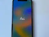 iPhone X