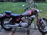 Virago 250 Yamaha  - 5