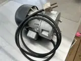 Gearmotor -220 v.