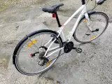 Dejlig dame racercykel  - 2