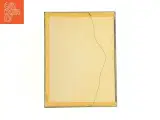 Indrammet botanisk plakat (str. 40 x 30,5 cm) - 4