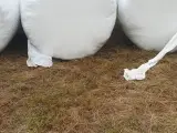 Øko wrap hø