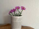 Kop / potte / vase