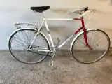 Raleigh herreccykel