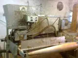 Pelseri