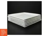 Hvide firkantede tallerkner fra Aida 6 stk (str. 26,5 x 26,5 cm) - 4