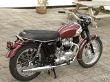 Triumph Bonneville T 120 R Classic Bike - 5