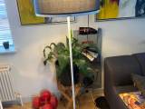Anden arkitekt, Antares, gulvlampe
