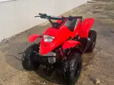 ATV Apex 100cc kvalitet - 5