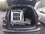 Hundebur Ford Kuga - 4