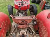 Massey Ferguson 135 Benzin - 5