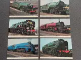 10 Vintage Colourmaster postkort af eng damplokomo