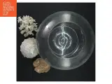 Glasboule til blomster,  sneglehuse, krystaller (str. Ø. 23 cm) - 2