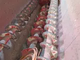 - - - Brønderslev - 4