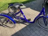 Seniorcykel med 3 hjul