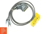 SCART til Phono-kabel (str. 1 m) - 2