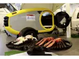 2025 - Mink Camper S   Model S er den perfekte Outdoorvogn med lav vægt. - 5