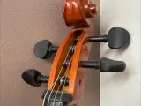 Cello medium sized (UDLEJES) - 2