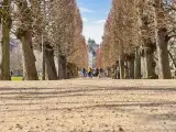 Dronningens Tværgade P-plads - 4