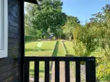 Flot kolonihave i Haderslev med stor have - 5