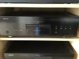 Denon DCD 1600 NE