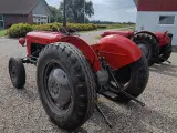 massey ferguson 35 Benzin - 5