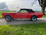Ford Mustang 200 cabriolet 66 3,3 6 Cyl  - 3