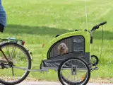 Cykelanhænger / Jogger Til Hunden - 5