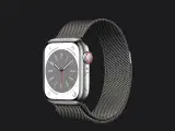 Apple Watch 8 41 mm cellular silver stainless stee