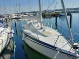 Maxi 84
