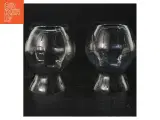 Hyasinth glas (str. 12 cm) - 2