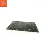Pia Raug - Saga Vinylplade fra Medley Records (str. 31 x 31 cm) - 5