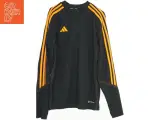 Træningsdragt med orange striber fra Nike (str. L) - 3