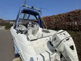  Speedbåd / Kabinebåd Galion Galia 560  115 HK - 4