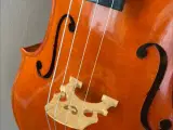 Cello medium sized (UDLEJES) - 3