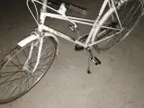 Wilkinn pige/dame cykel