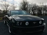 mustang GT - 5