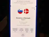 UEFA EURO Dennmark vs Slovenia - 4
