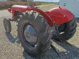 Massey Ferguson  35   Traktor Benzin - 5