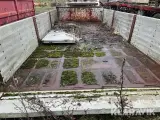Container - 5