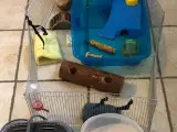 Tilbehør til dværg hamster