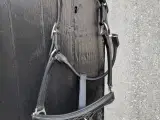 Lædergrime