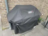 Weber Spirit E310 